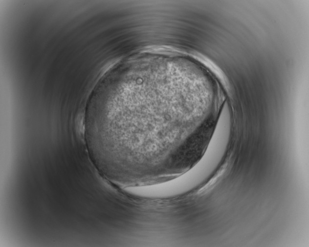 X0000094210809200711091236