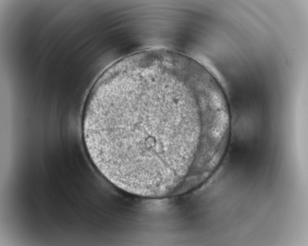 X0000094210810200711091236