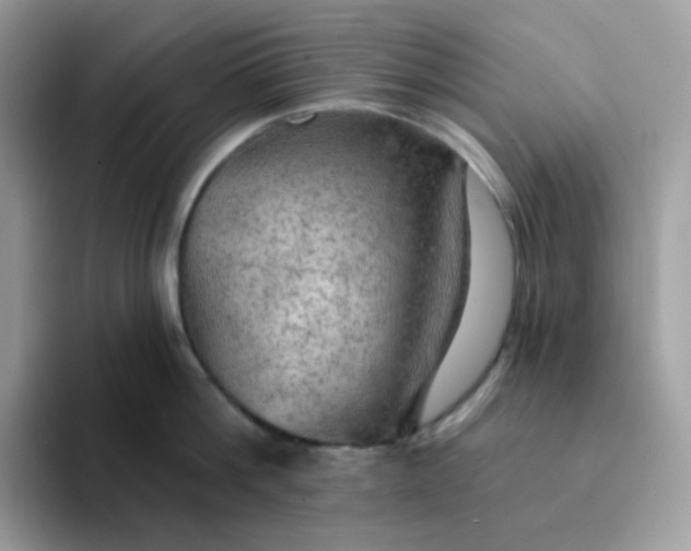 X0000094210812200711091236