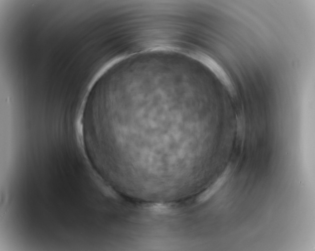 X0000094210814200711091236