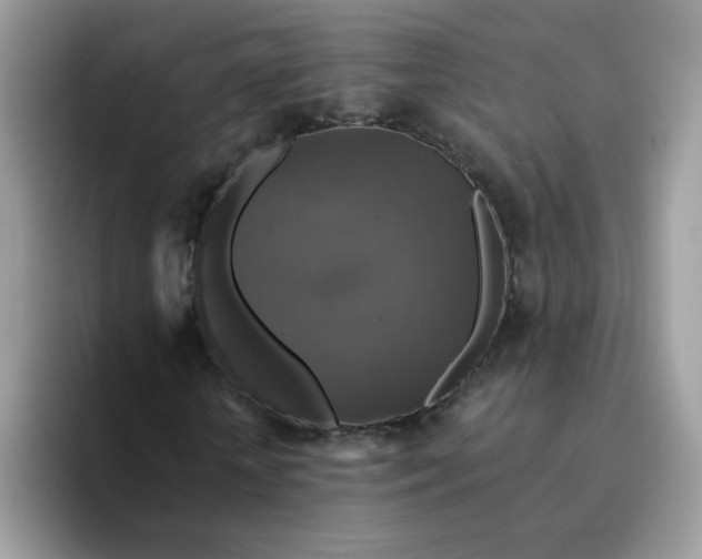 X0000094210818200711091236