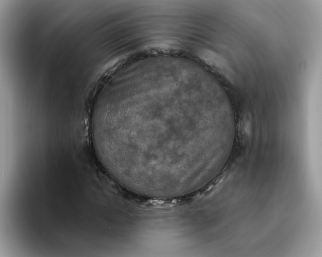 X0000094210822200711091236