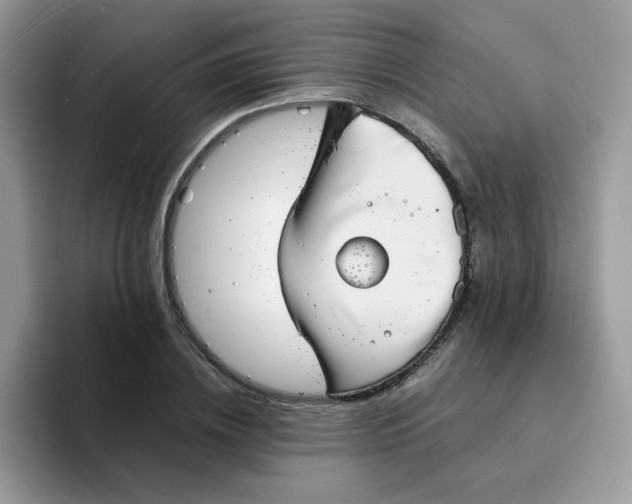 X0000094210836200711091236