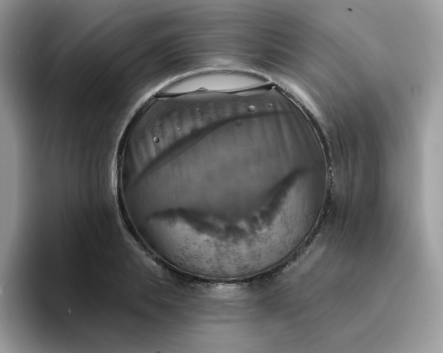 X0000094210839200711091236