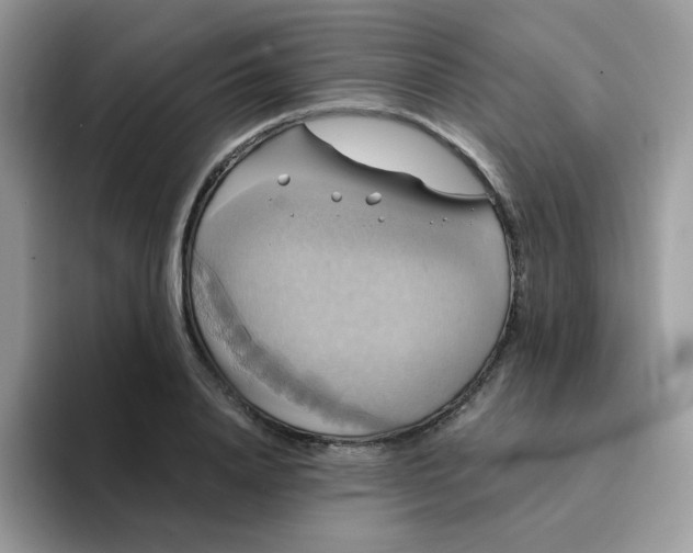 X0000094210840200711091236