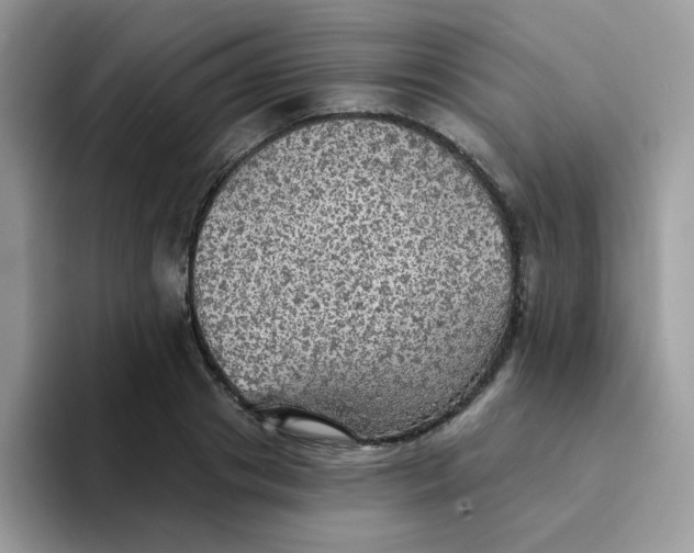 X0000094210841200711091236