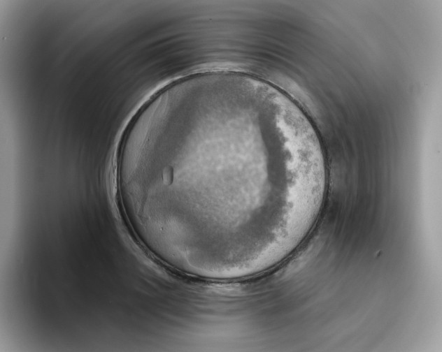X0000094210844200711091236