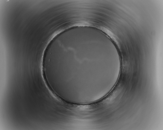 X0000094210845200711091236