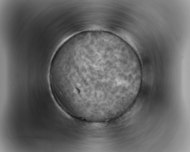 X0000094210847200711091236