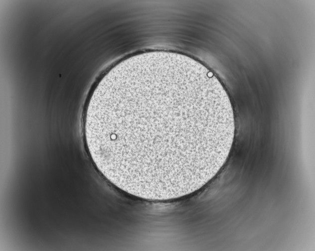 X0000094210848200711091236