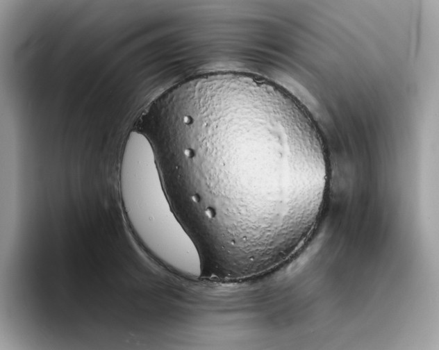 X0000094210849200711091236