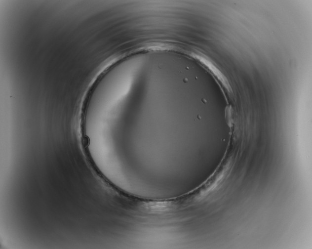 X0000094210853200711091236