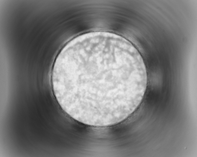 X0000094210856200711091236