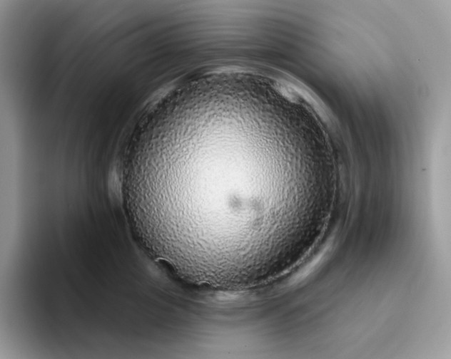 X0000094210857200711091236