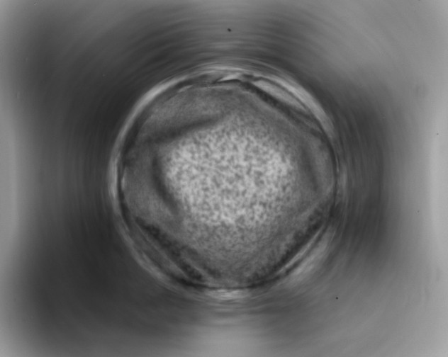 X0000094210862200711091236