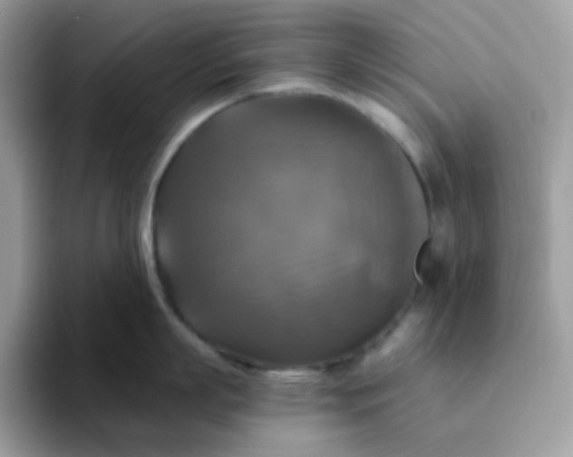 X0000094210863200711091236