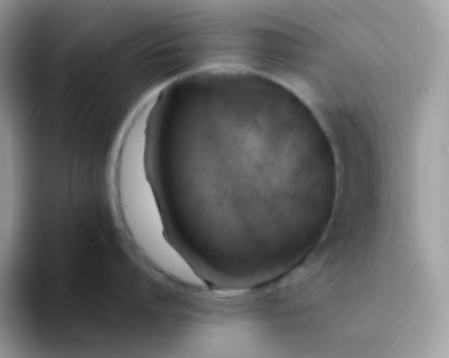 X0000094210864200711091236