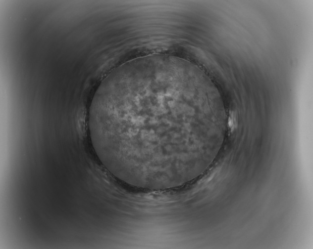 X0000094210867200711091236