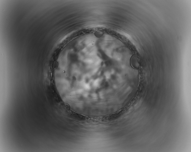 X0000094210871200711091236