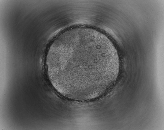 X0000094210872200711091235