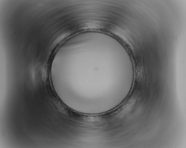 X0000094210874200711091235