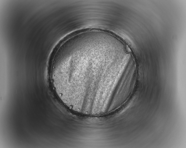 X0000094210880200711091235