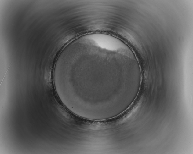 X0000094210881200711091235