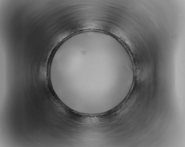 X0000094210882200711091235