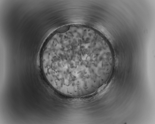 X0000094210883200711091235