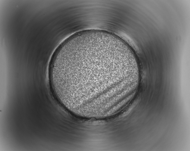X0000094210884200711091235