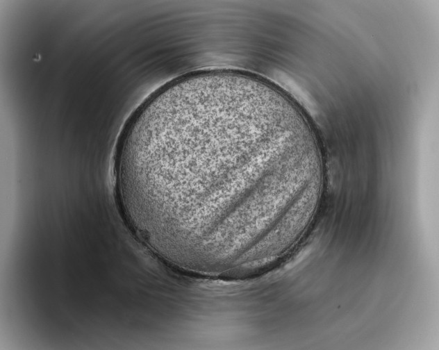 X0000094210885200711091235