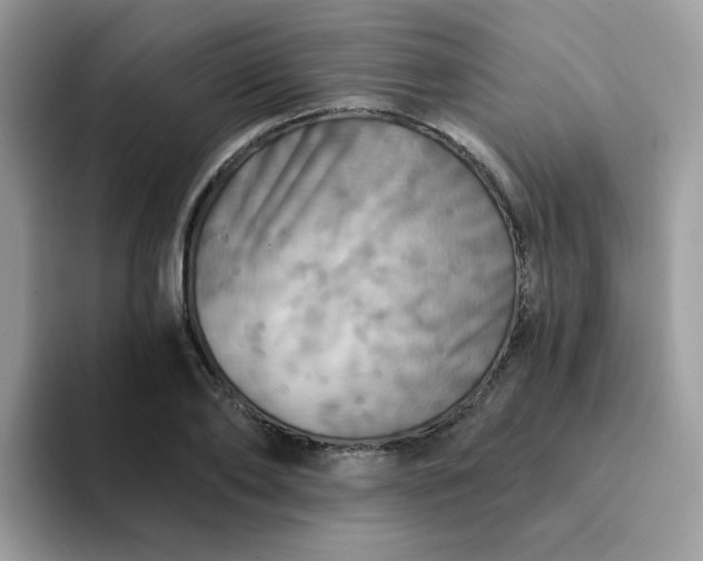X0000094210886200711091235