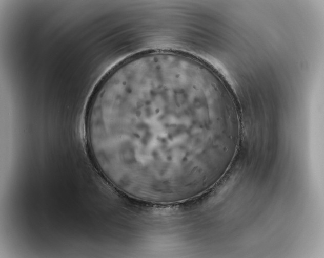 X0000094210887200711091235