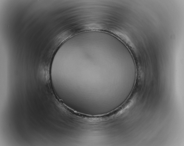 X0000094210889200711091235