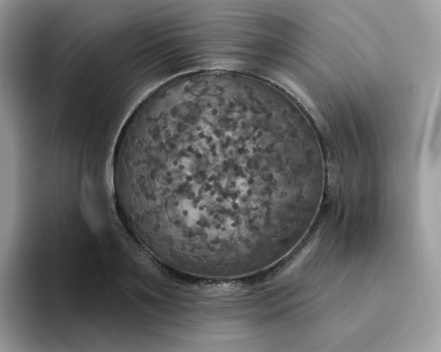 X0000094210891200711091235