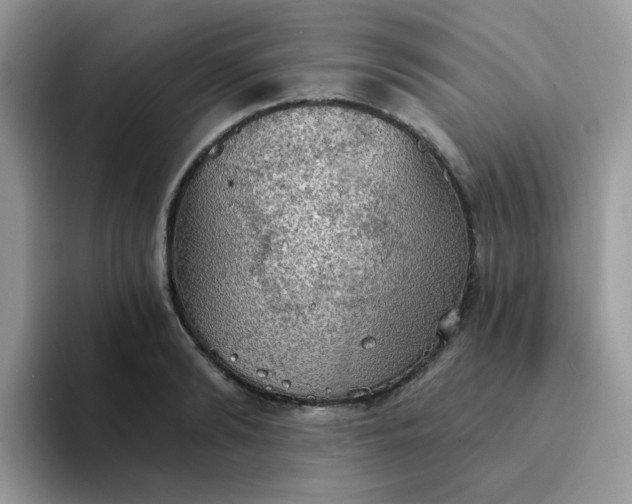 X0000094210894200711091235