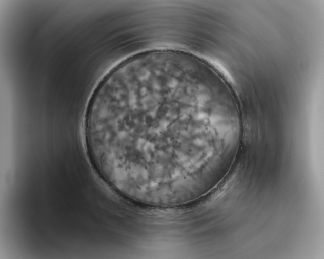 X0000094210895200711091235