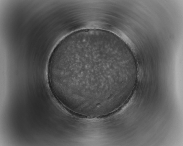 X0000094210896200711091235
