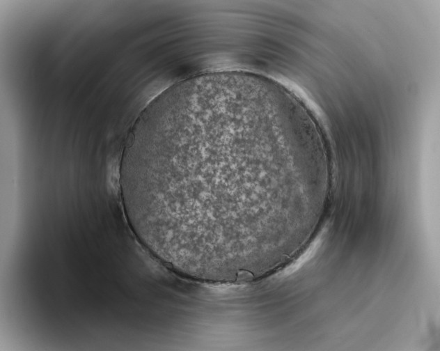 X0000094210897200711091235