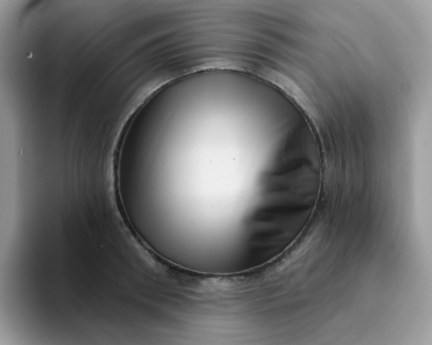 X0000094210898200711091235