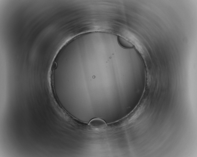 X0000094210899200711091235