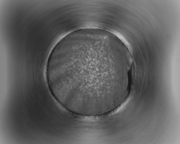 X0000094210901200711091235