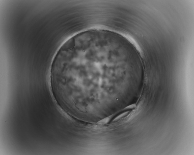 X0000094210903200711091235