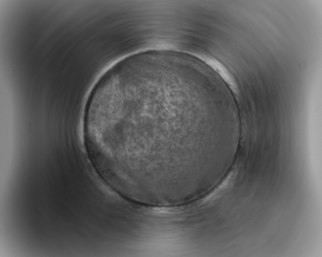 X0000094210904200711091235