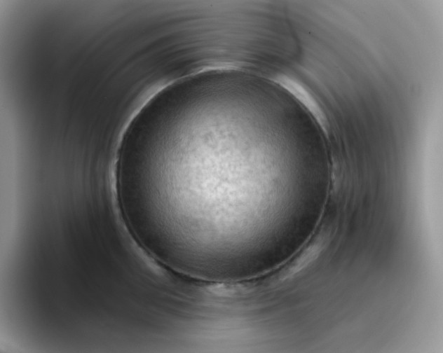 X0000094210906200711091235