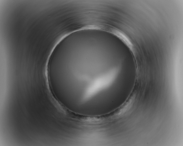 X0000094210907200711091235