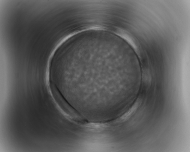 X0000094210910200711091235