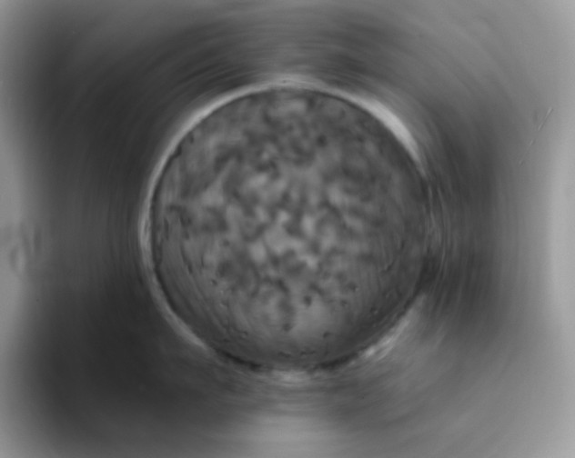 X0000094210911200711091235