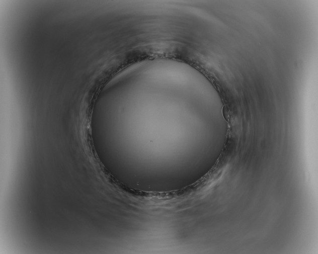 X0000094210913200711091234