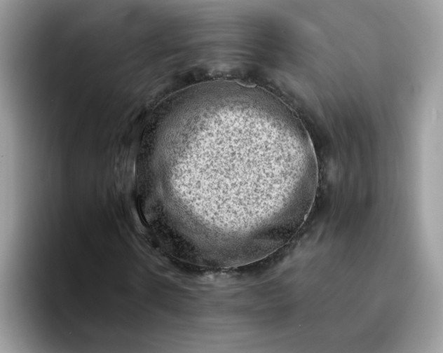 X0000094210914200711091234
